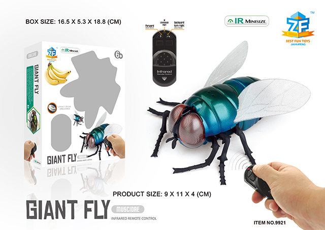 <img src='photo/2019/HD062791.jpg'width='400' height='300'>